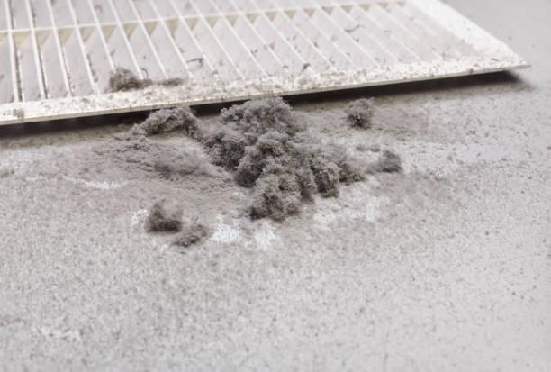 Best Duct Cleaning for Homes  in Mount Airy, GA